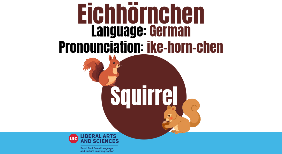 Eichhörnchen from German with the translation of the word and two squirrels to also represent meaning