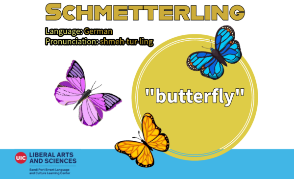 Schmetterling, from German. Meaning butterfly. Butterflies are flying over the text.
