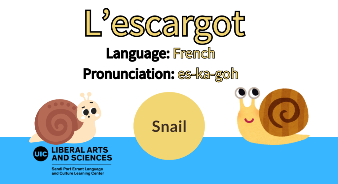 L'escargot, from French, snail