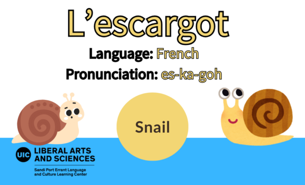 L'escargot, from French, snail