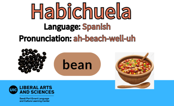 Habichuela, from Spanish. Bean.