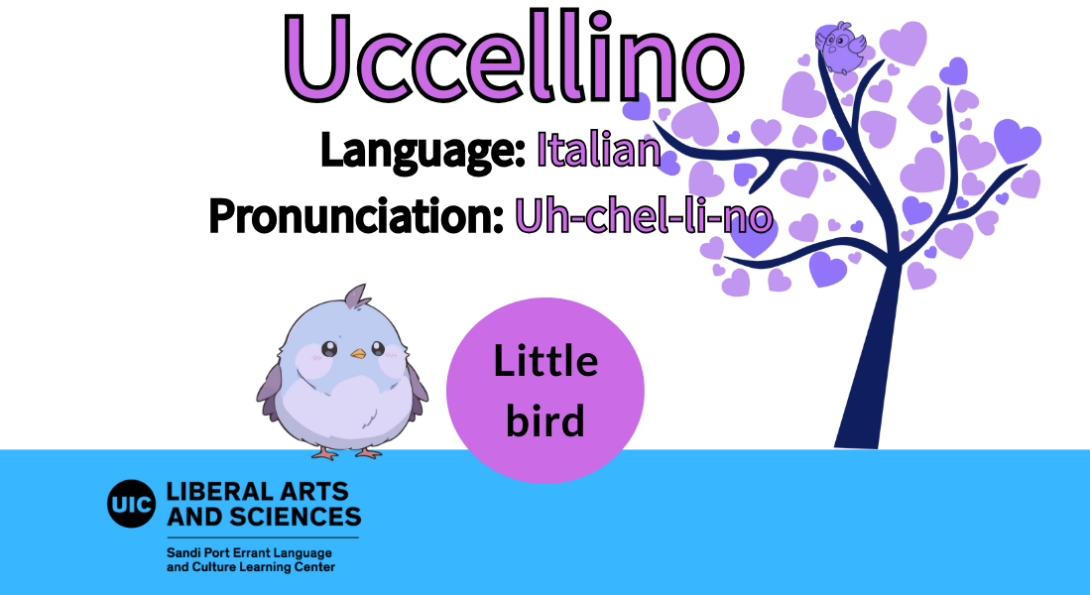 Uccellino, from Italian. Little bird.